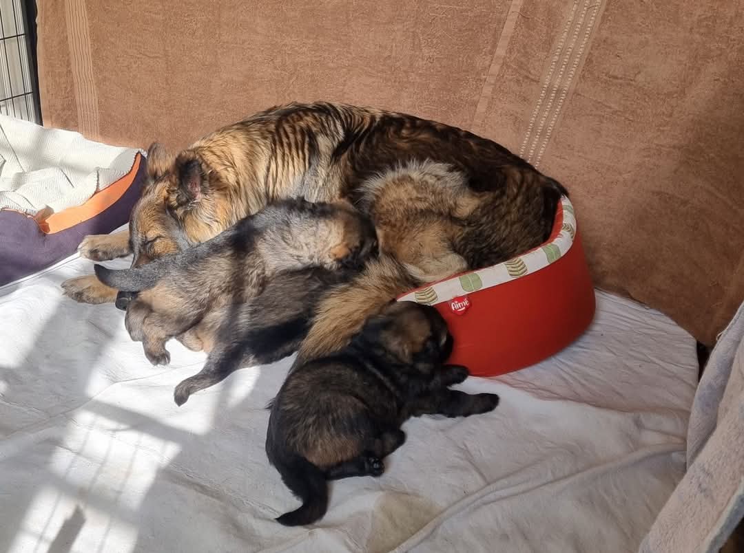 Moment de repos