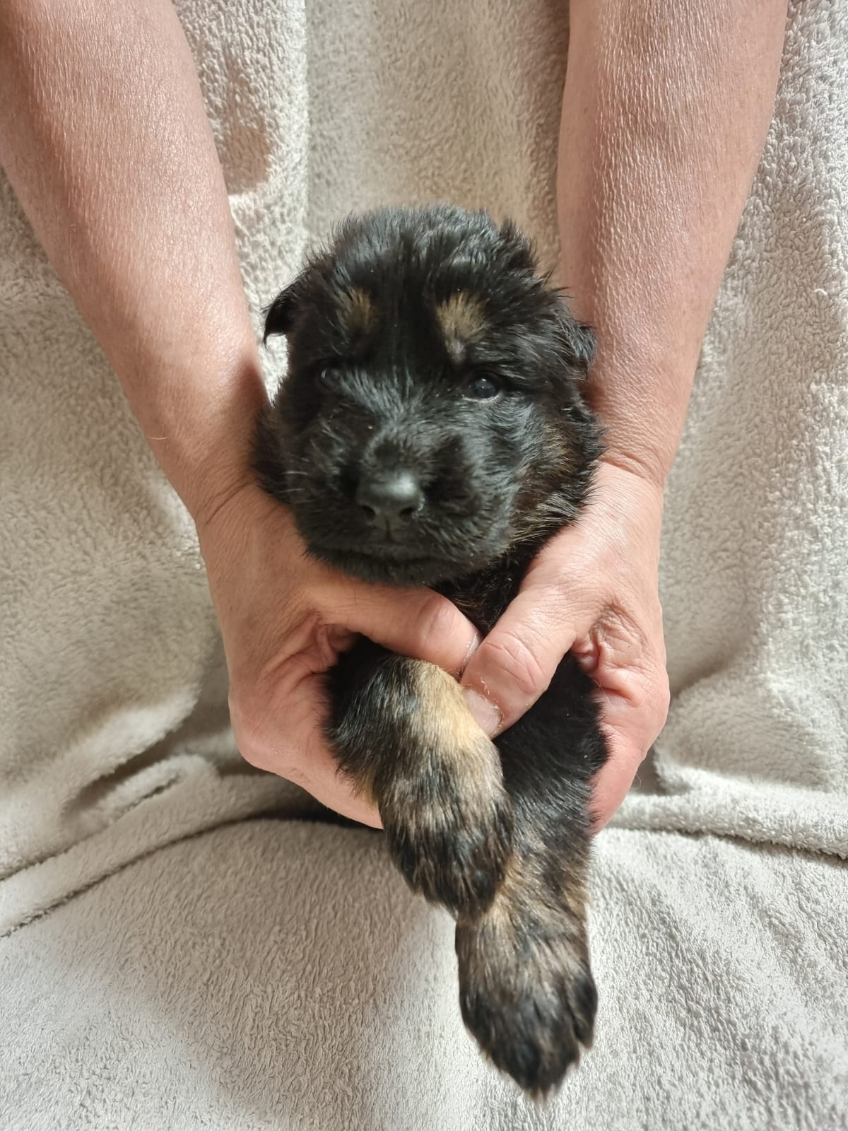 Atom