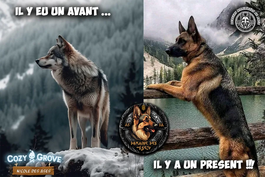 Conseil santé – août 2025