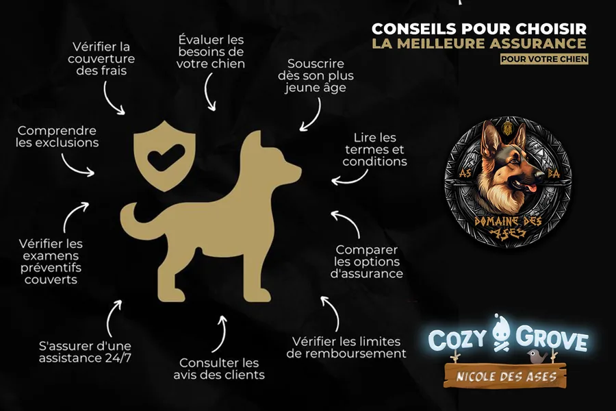 Conseil santé – décembre 2025