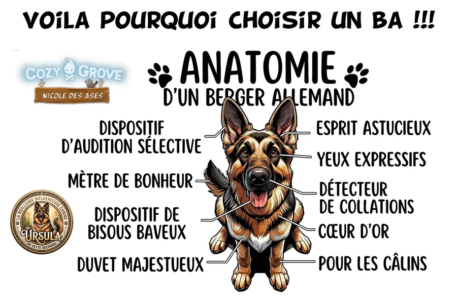 Conseil santé – avril 2026